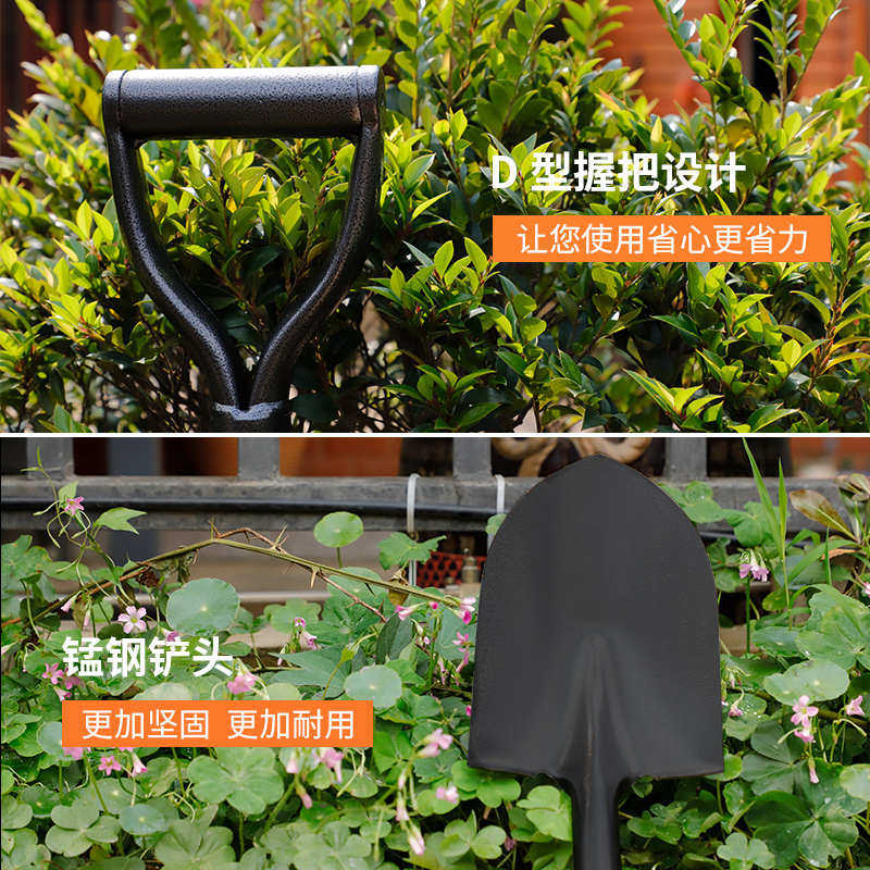 碳钢铁锹挖树专用神器铁锨家用农用铲子户外挖土植树园林园艺工具