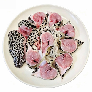 厦门鲜活虎鳗鱼一斤小虎鳗食用海鳗金钱鳗海鳗鱼石鳗鱼油锥鱼活冻