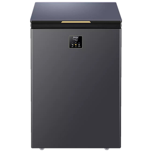 Haier海尔冰柜100升家用小型冷柜冷冻柜冷藏柜卧式大容量囤货柜
