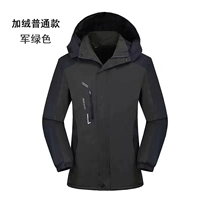 Армия зеленый обычный