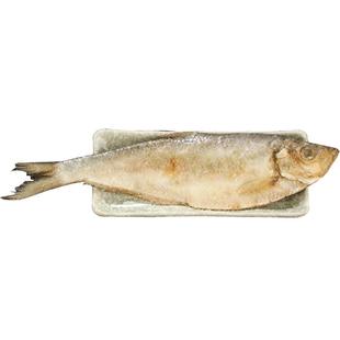 宁波特产三刨大霉鳓鱼350g/条 咸力鱼勒鱼白鳞鱼火鳞鱼曹白鱼海鲜