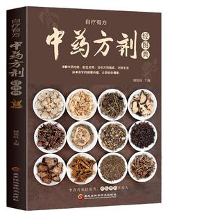 中药方剂轻图典中药材图鉴大全百科书中药方剂配伍常见中药材功效解读中药知识入门中医养生食疗对症调理养生药膳书籍妙方土单方