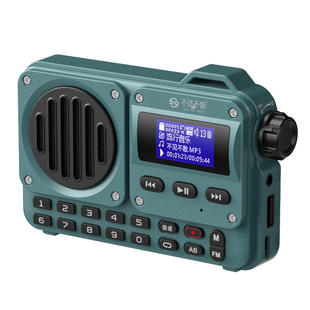 不见不散BV800 蓝牙音箱收音机便携式插卡音响老人儿童播放器倍速