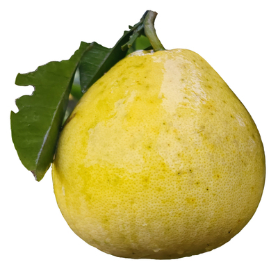 万山香柚白心小甜柚小香柚子脆甜雪峰柚非沙田柚当季水果冰糖柚