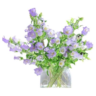 花点时间风铃花草鲜花紫色粉色云南直发花束插瓶水养铃兰鲜切花