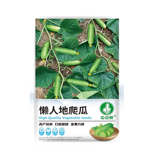满地爬黄瓜种籽大全东北四季老黄瓜种孑品种水果黄瓜种子蔬菜庭院