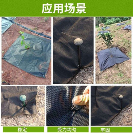 地钉农用 防草布地钉加粗加长除草布地布农用地膜果树果园新型钉