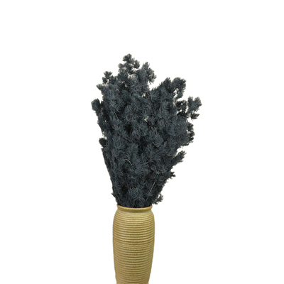 永生花蓬莱松100克/束厂家直销