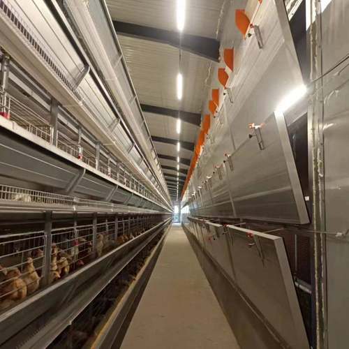 养鸡设备自动清粪系统养殖镀锌H型大层叠蛋鸡笼养鸡设备制造商