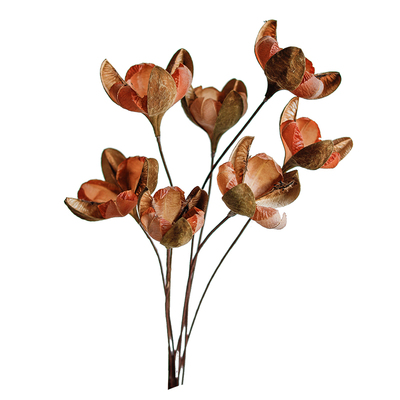 进口干花花束特费玫高端装饰花材