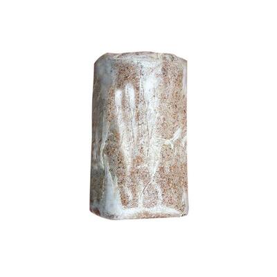 蘑菇新款大中小号高出率毛木耳包