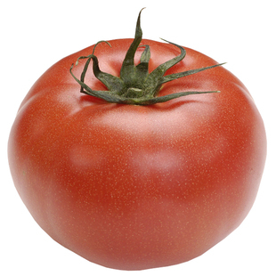 老品种西红柿种子蔬菜苗圣女果阳台盆栽四季春大果水果口感番茄籽