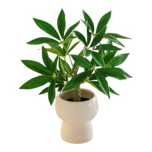 仿真绿植摆件小型客厅室内茶几盆栽电视柜桌面仿生植物假花高级感