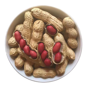 2025新花生咸干花生带壳白晒湿烤花生原味水煮花生日晒花生