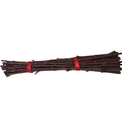 东南桃花枝镇家宅随身平安桃木枝