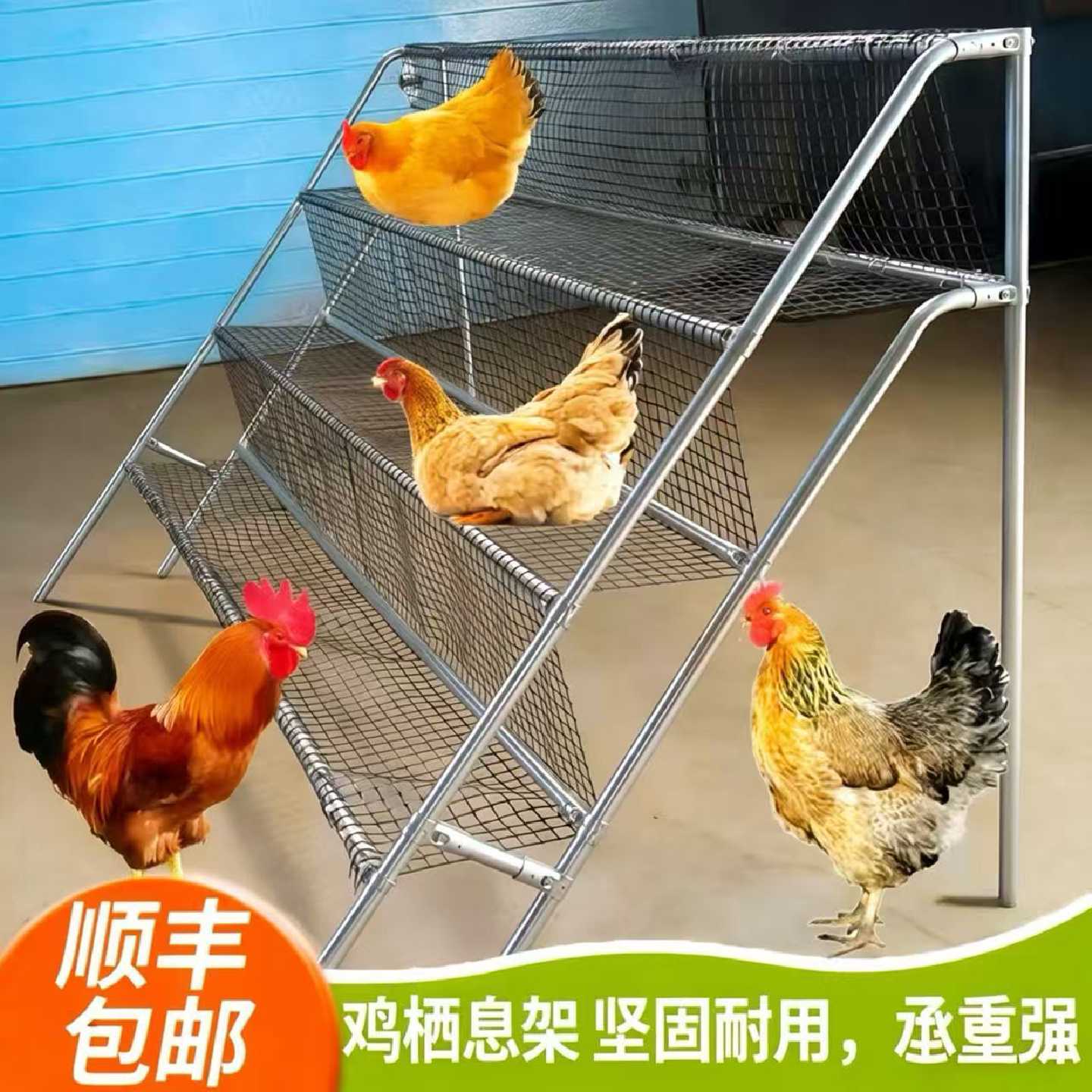 鸡笼栖息架鸡站架宠物鸡站架大公鸡母鸡中大鹦鹉栖息架多层网架