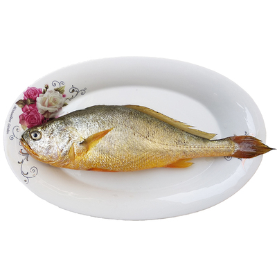 大黄鱼海鲜礼盒舟山深海大黄鱼新鲜水产海鱼送礼海鲜礼包黄花鱼