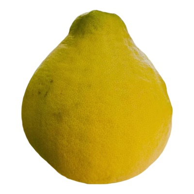 正宗重庆长寿老树沙田柚子白心甜