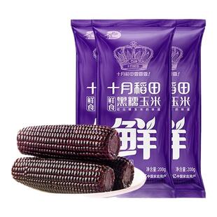 十月稻田东北黑糯新鲜香甜玉米220g真空装低脂饱满大穗