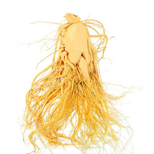 长白山人参泡酒药材鲜人参产地发货吉林人参东北特产泡酒煲汤佳品