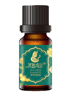 新疆伊帕尔汗茶树精油单方精油