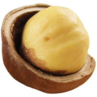 小孟A级榛子东北特产榛子新鲜生榛子坚果新鲜榛子铁岭小榛子