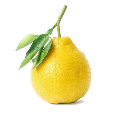 正宗梅州沙田柚纯甜爽口全国包邮