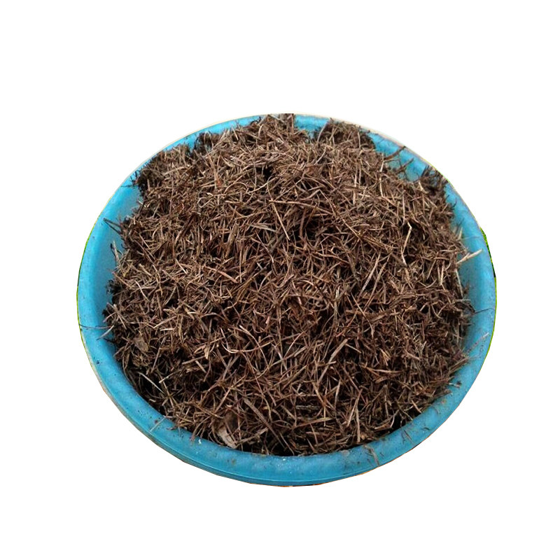 君子兰植物茉莉玫瑰松针腐殖土