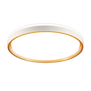 2026新款LED吸顶灯简约现代客厅主灯书房餐厅卧室圆形灯具灯饰