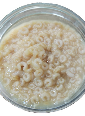 新鲜野生冻干粉500g特价蜂王胎