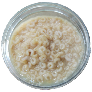 蜂王胎养卵巢王浆虫幼虫蜂蛹新鲜冻干粉片原料蜂皇浆500g特价