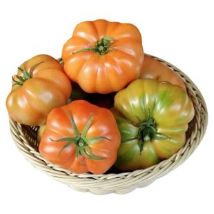 顺丰包邮新鲜蔬菜自然熟潮汕马蹄番茄老品种西红柿狮子头生吃水果