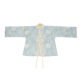 拟梦小雏菊 原创汉服汉元素宋制对襟衫松紧半裙春秋人棉通勤明媚