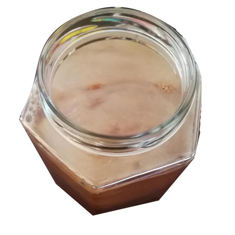 正宗老胃宝红茶菌菌种康普茶醋蛾农技服务