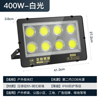 Golden Diamond Project-400W-Zhengbai