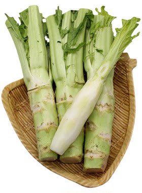 四川棒菜种子芥菜花叶多汁