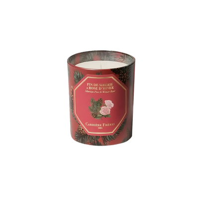 植物学家香薰蜡烛室内生日节日礼