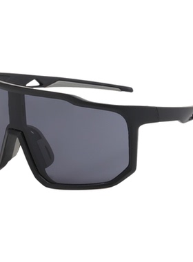 骑行眼镜登山雪地滑雪镜防紫外线