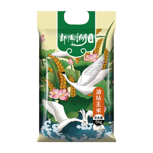 鄱阳湖大米油粘5kg丝苗米当季新米南方大米猫牙米10斤装长粒国货