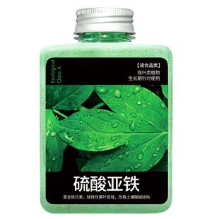 硫酸亚铁花肥料花用铁肥水溶液通用肥料花肥家用发财树黄叶怎么办