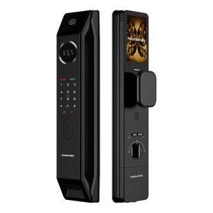 凯迪仕P30ProMax双子星人脸猫眼指纹密码家用监控电子锁智能门锁