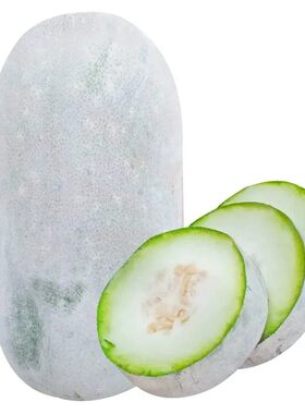 满地爬粉皮大冬瓜种子高产易种