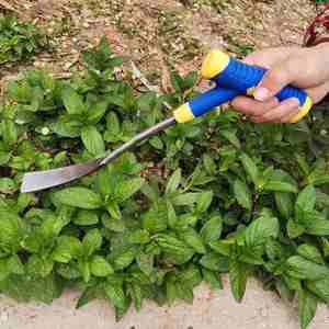 适用于挖野菜专用铲小b铲子挖土小铁铲园艺种花种菜工具挖荠实用