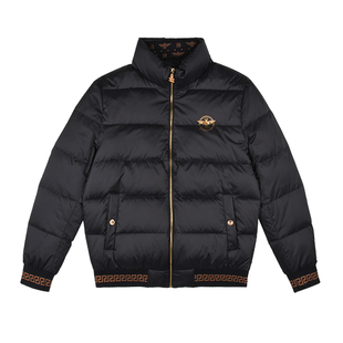 雷迪波尔男装羽绒服2024秋冬新款立领休闲烫印纯色保暖鸭绒外套男