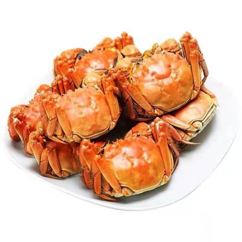新鲜10只礼盒装梁子湖区大闸蟹