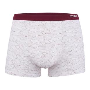 夏娃之秀纯棉男士内裤男抗菌平角裤透气薄款大码四角底衩短裤夏季