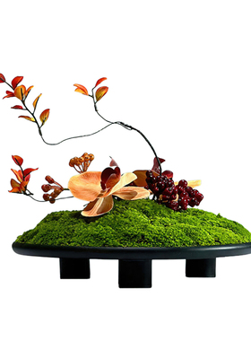 永生苔藓盆景仿真植物微景观