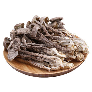 福建菇万鲜！鹿茸菇干货110g