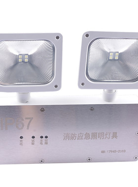 俱竞阳LED消防应急照明灯