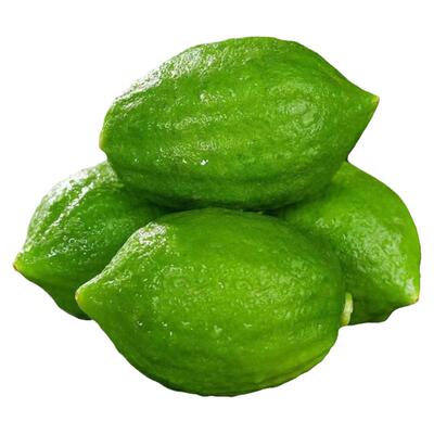 茶诺新鲜香水柠檬广东奶茶店专用